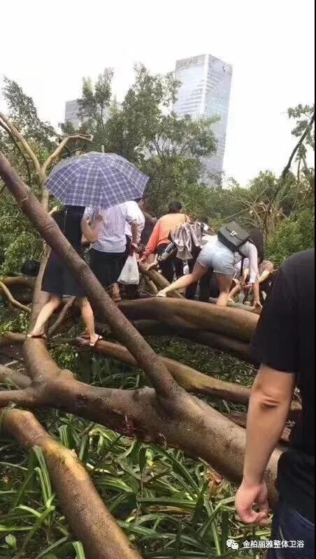 致敬逆风而行的人:“山竹”不可爱,但你们很可爱! 致敬逆风而行的人:“山竹”不可爱,但你们很可爱!