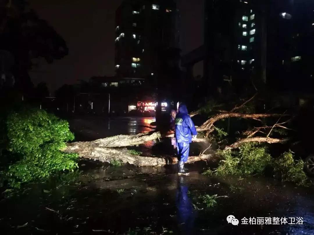 致敬逆风而行的人:“山竹”不可爱,但你们很可爱! 致敬逆风而行的人:“山竹”不可爱,但你们很可爱!