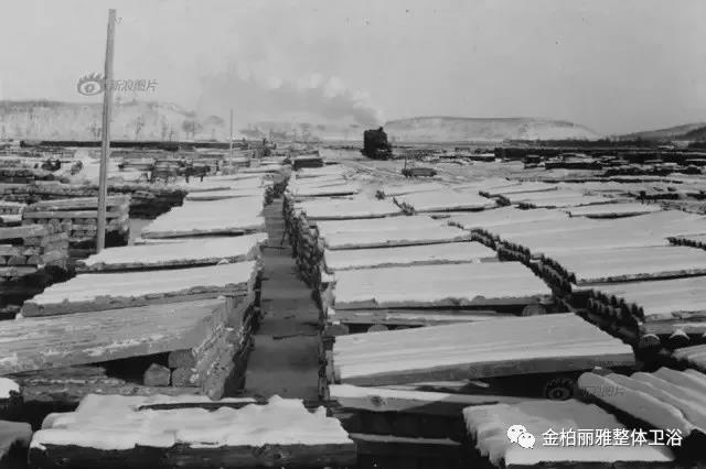 图为扎免采木公司木材场