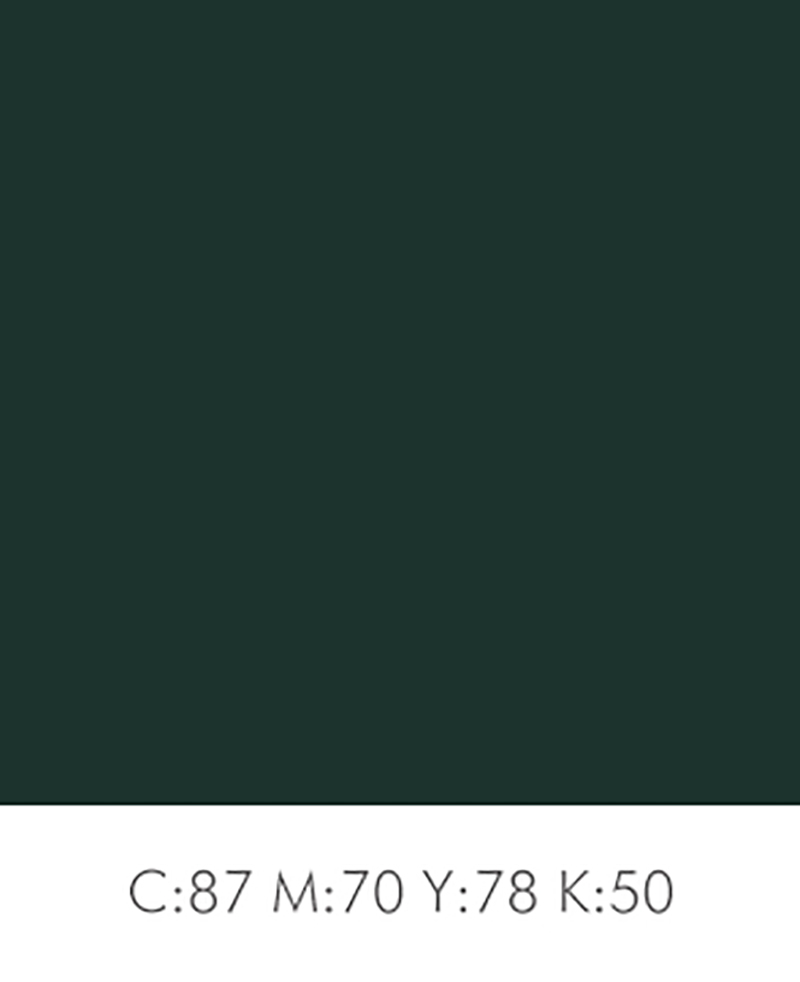 2020流行色趋势Pantone