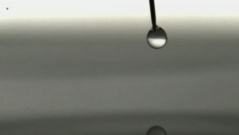 7.gif