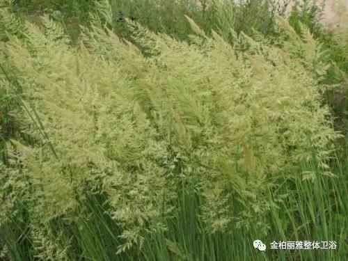 清明&#8226;我们用更好的方式思念