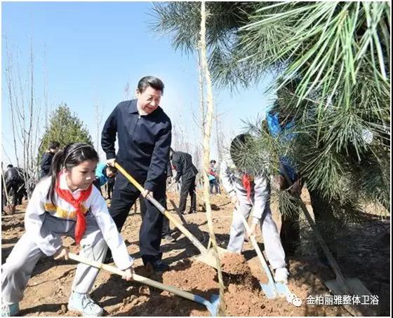 高端整体卫浴